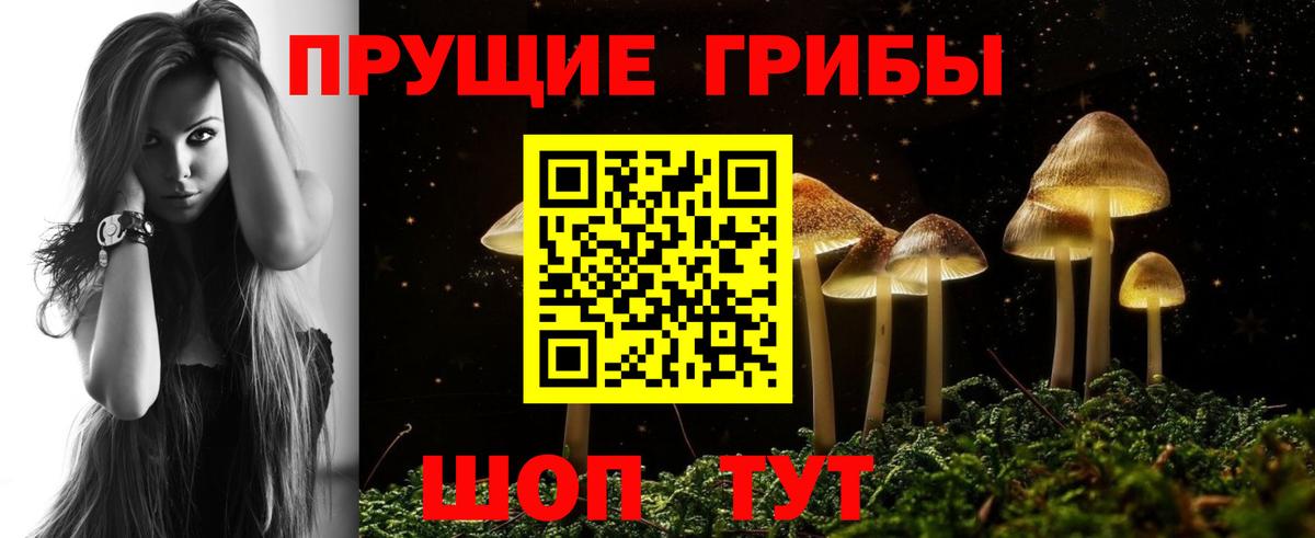 Славянск-на-Кубани  Псилоцибиновые грибы прущие грибы  Псилоцибиновые грибы Magic Shrooms  Вход с VPN 